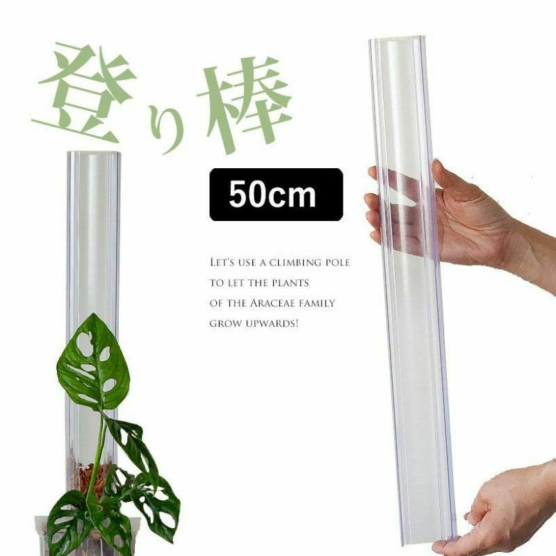 ヘゴ棒の代替登り棒｜ポトスなどツルを這わし登らせる（花森家）