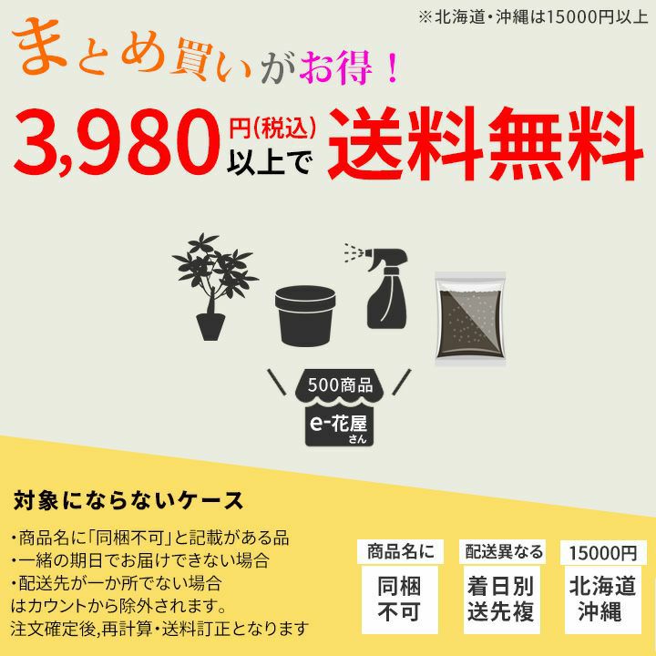 水苔でモスポールにも！透明登り棒｜アロイド登らせ隊