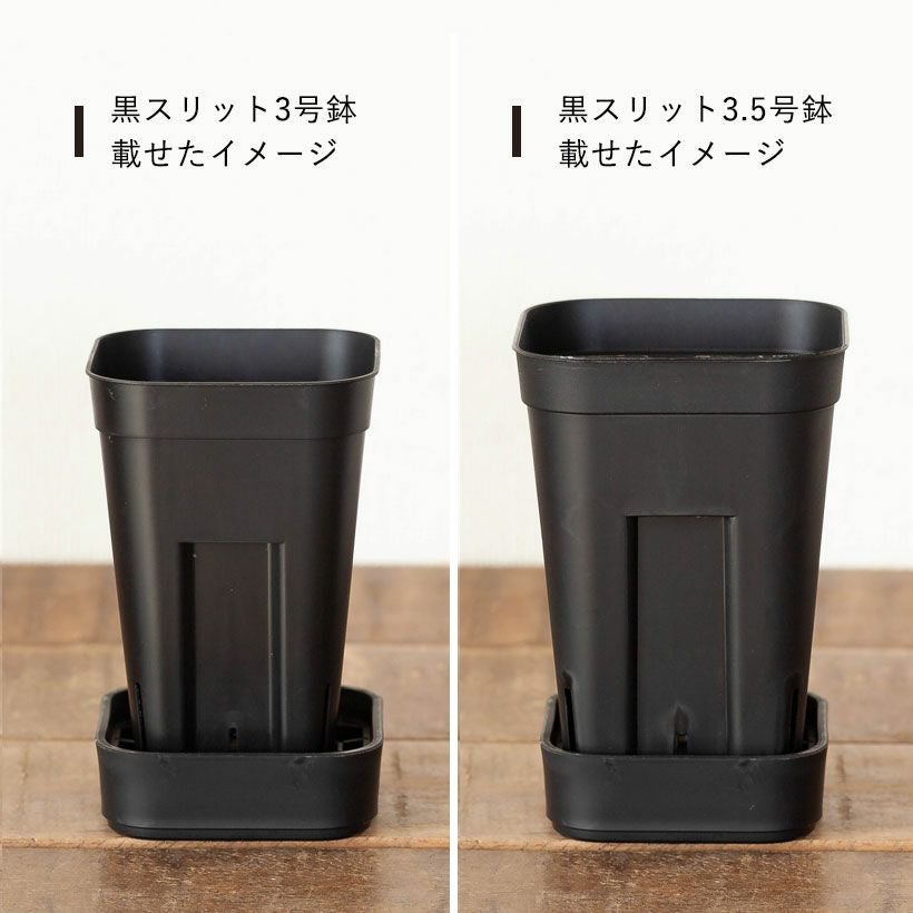 プレステラ専用受皿（プレート）水はけ向上インナー付き90