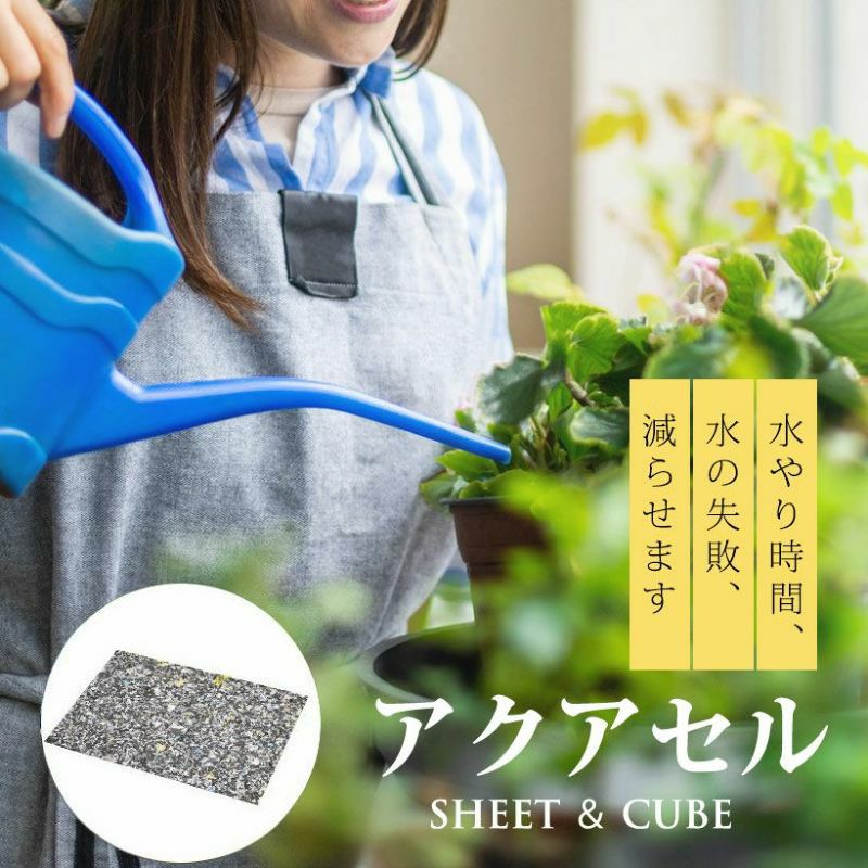 000000008623-01.jpg?size=l&w=