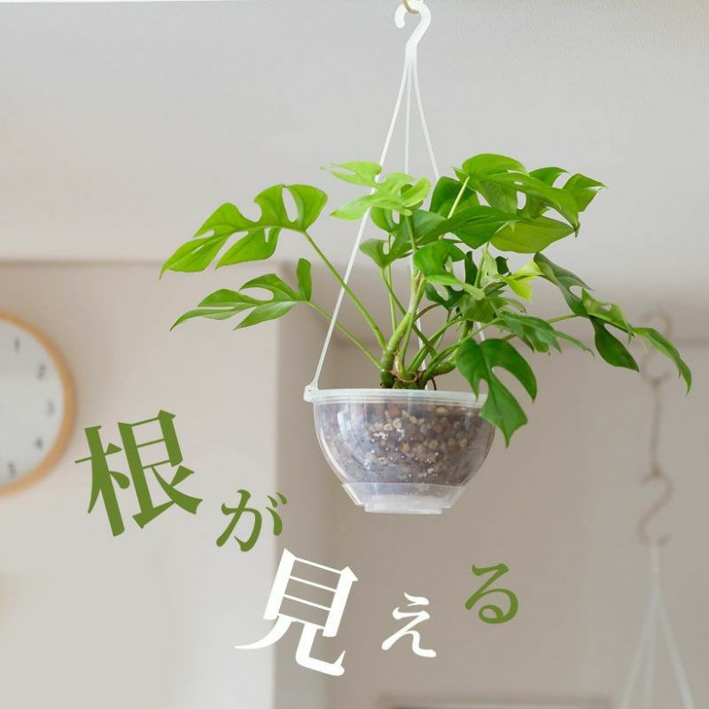 000000008854-01.jpg?size=l&w=