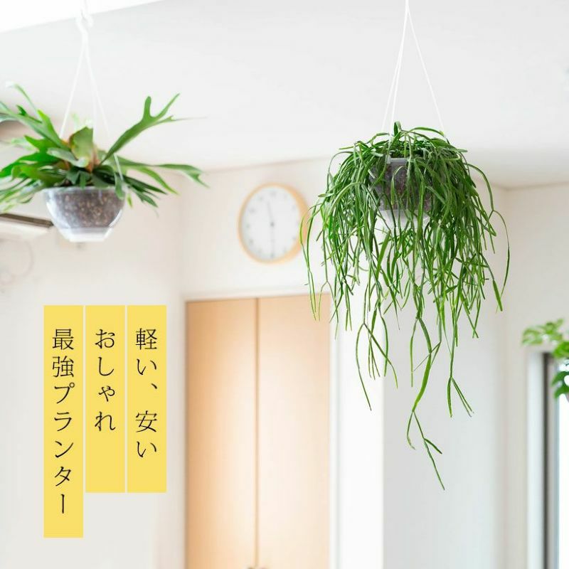 吊り鉢ネガミエルAIR（エアー）透明ハンギングプランター浅岡園芸
