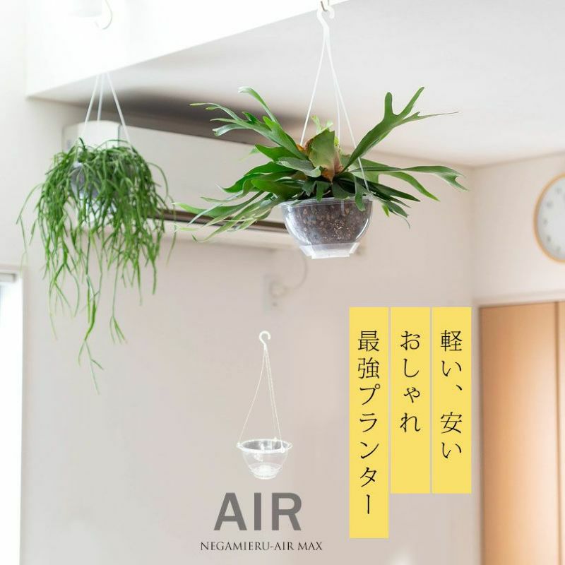 000000008854-04.jpg?size=l&w=