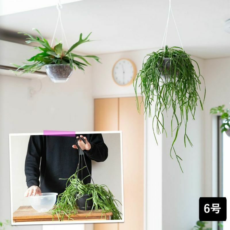 000000008854-12.jpg?size=l&w=