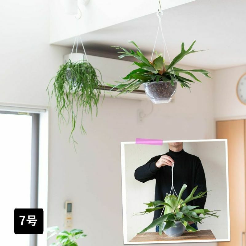 000000008854-13.jpg?size=l&w=