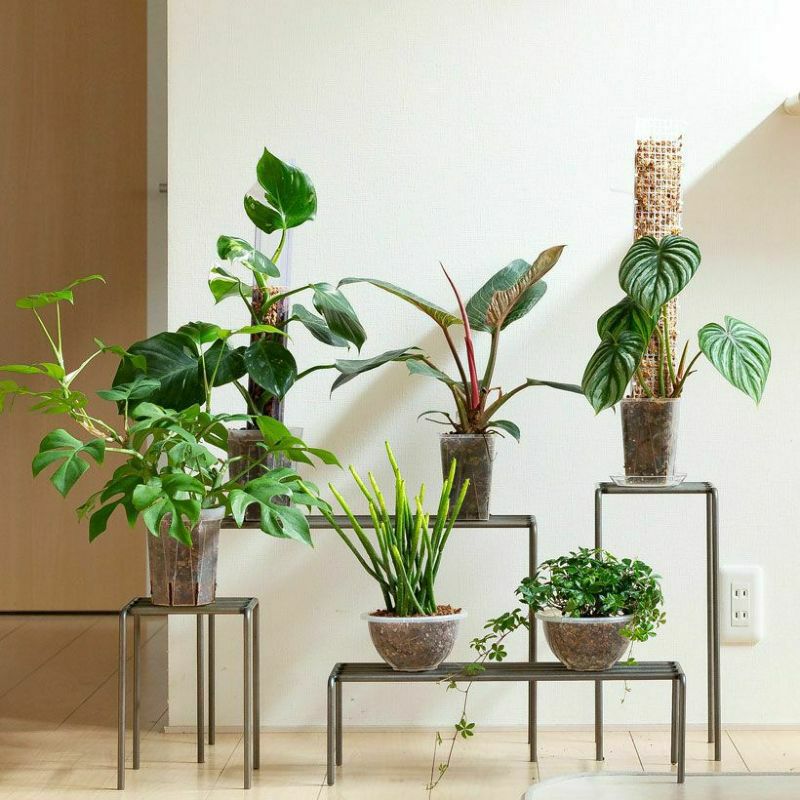 000000008854-21.jpg?size=l&w=