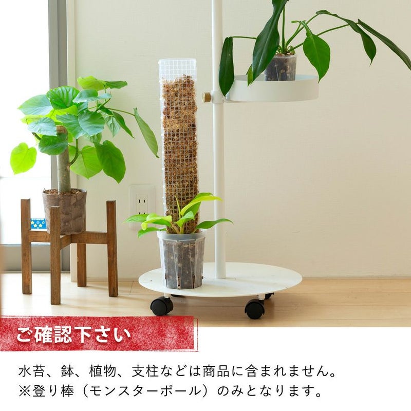 モスポール（モンスターポール）水苔入れアロイドを登らす棒