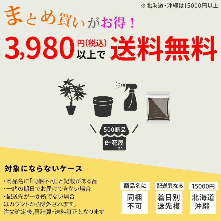 モスポール（モンスターポール）水苔入れアロイドを登らす棒