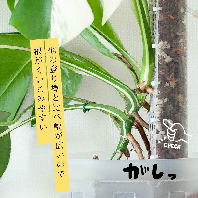 モスポール（モンスターポール）水苔入れアロイドを登らす棒