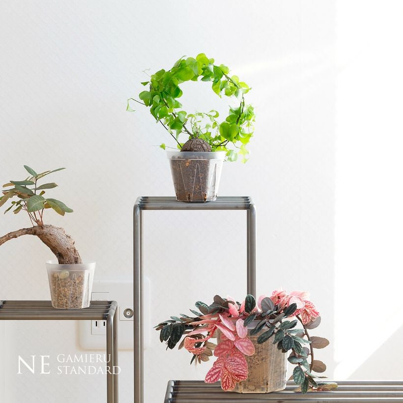 000000009022-02.jpg?size=l&w=