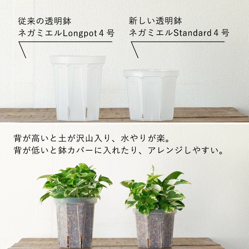 植木鉢 ネガミエルスタンダード浅岡園芸プロデュース｜インナーポットにも最適