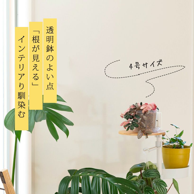 ネガミエルスタンダード浅岡園芸プロデュース｜インナーポットにも最適