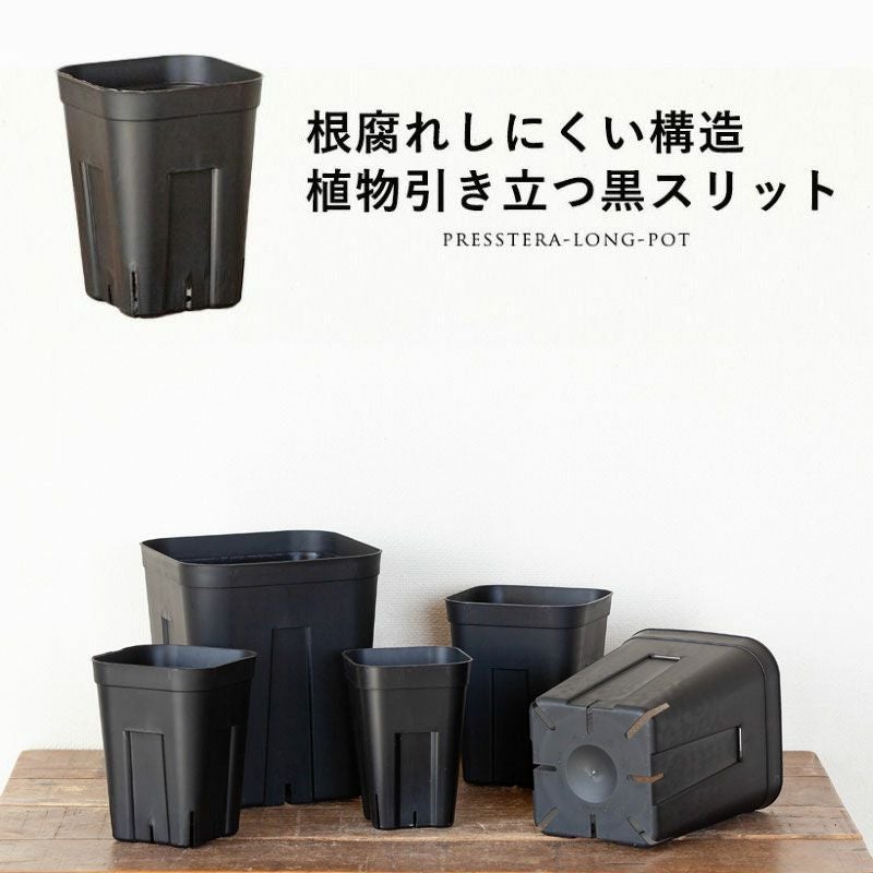 000000009066-01.jpg?size=l&w=