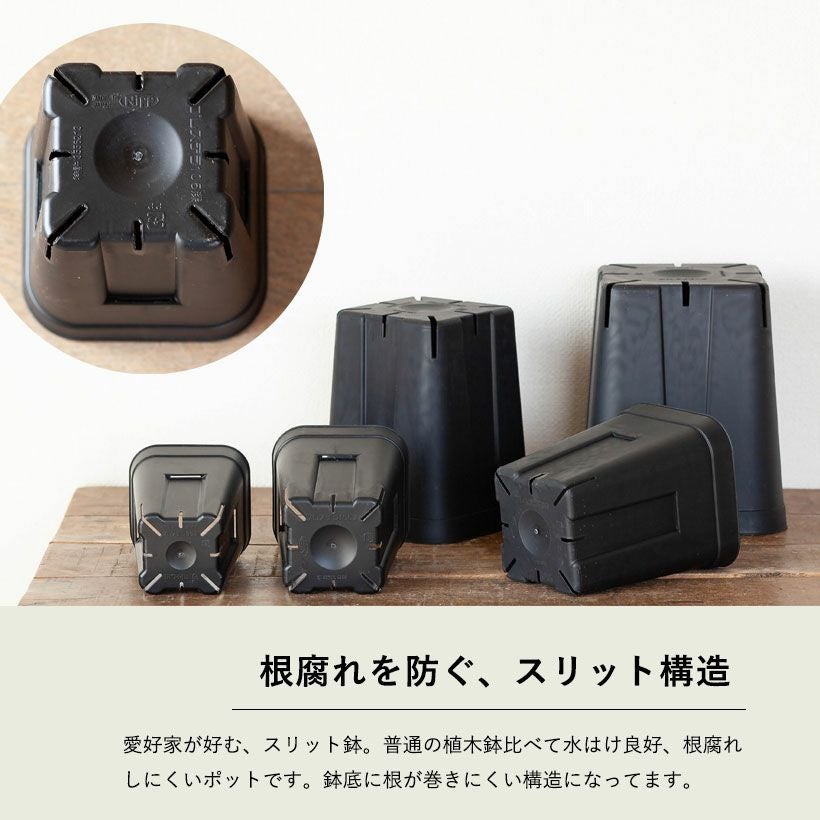 黒いスリット鉢（背が高いロングポット）観葉植物に！プレステラ