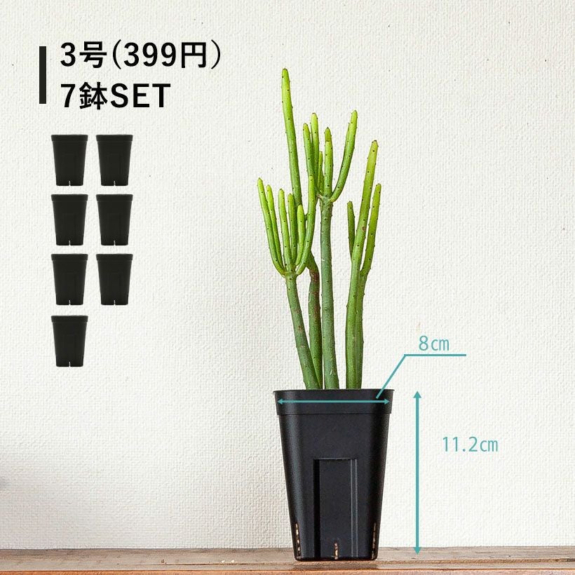 黒いスリット鉢（背が高いロングポット）観葉植物に！プレステラ