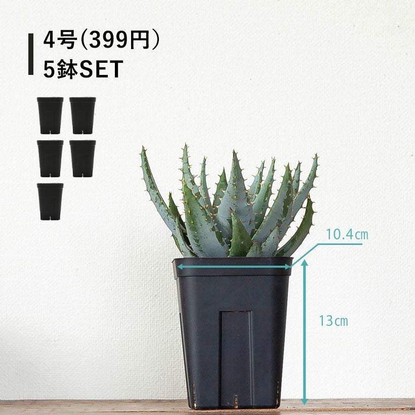 黒いスリット鉢（背が高いロングポット）観葉植物に！プレステラ