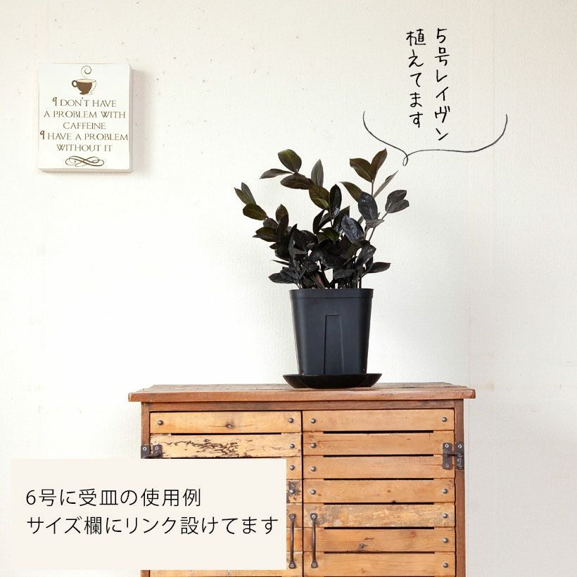 黒いスリット鉢（背が高いロングポット）観葉植物に！プレステラ