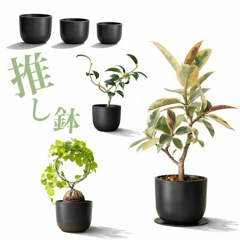 ファイバークレイ、プラスチック｜[公式] e-花屋さん 本店