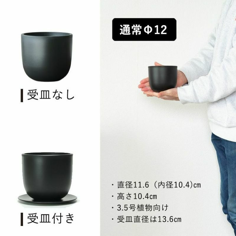 塊根植物や珍奇植物に！黒マット楕円型POT（樹脂製の植木鉢）