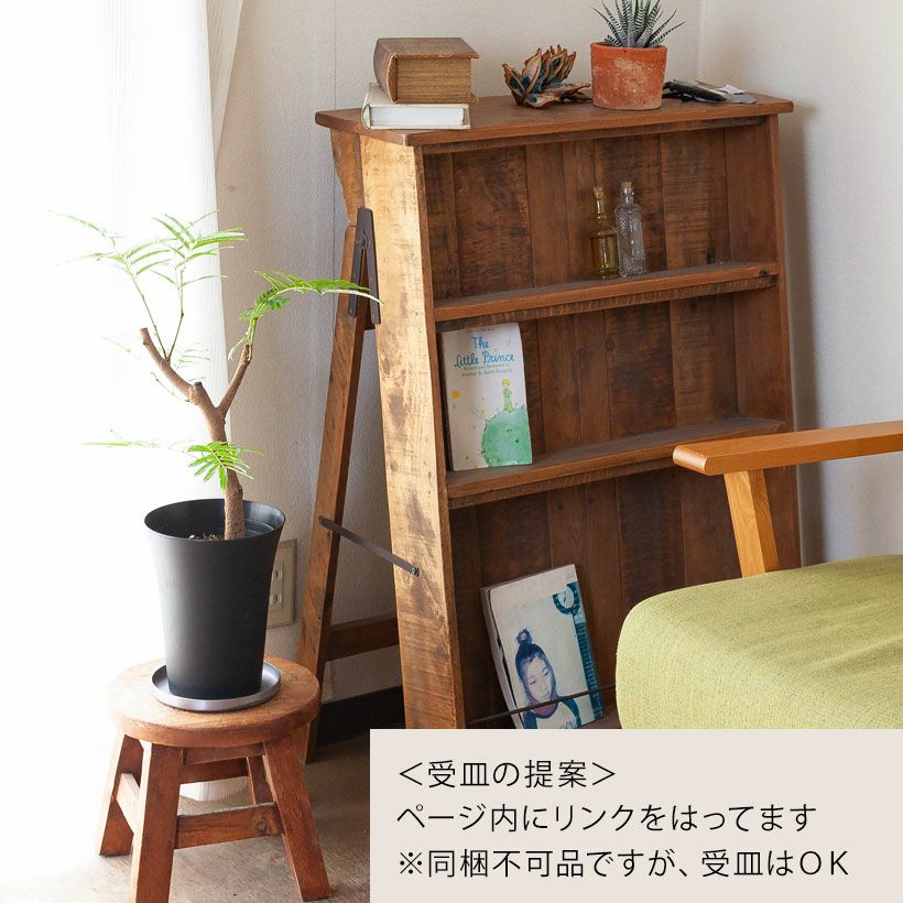 数量限定】6号にしては幹が太い、幹太エバーフレッシュ | [公式]e-花屋さん