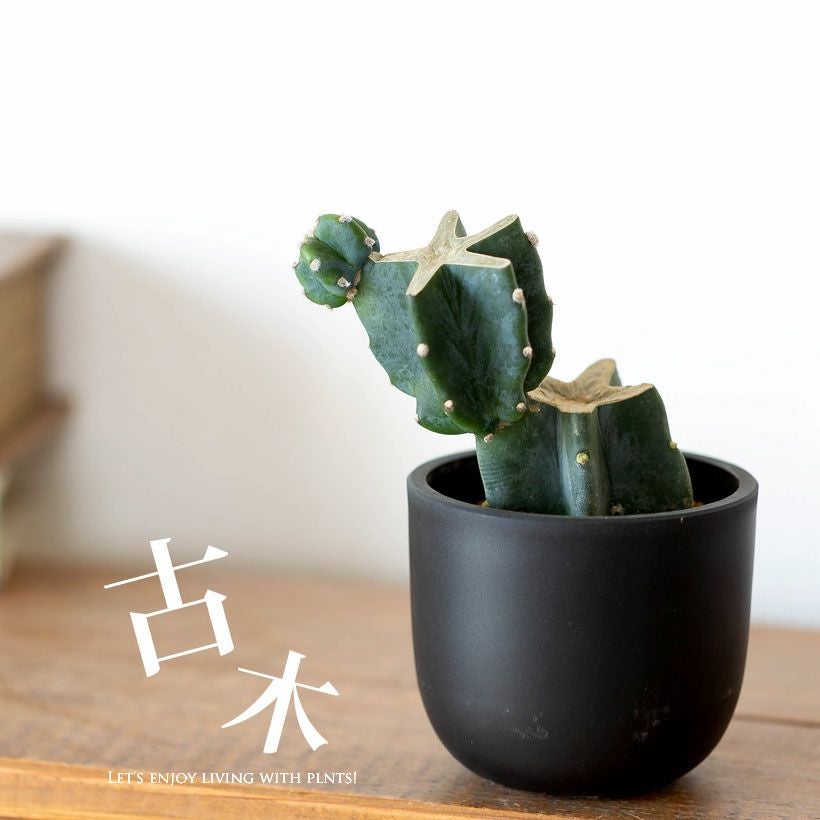 000000009100-01.jpg?size=l&w=