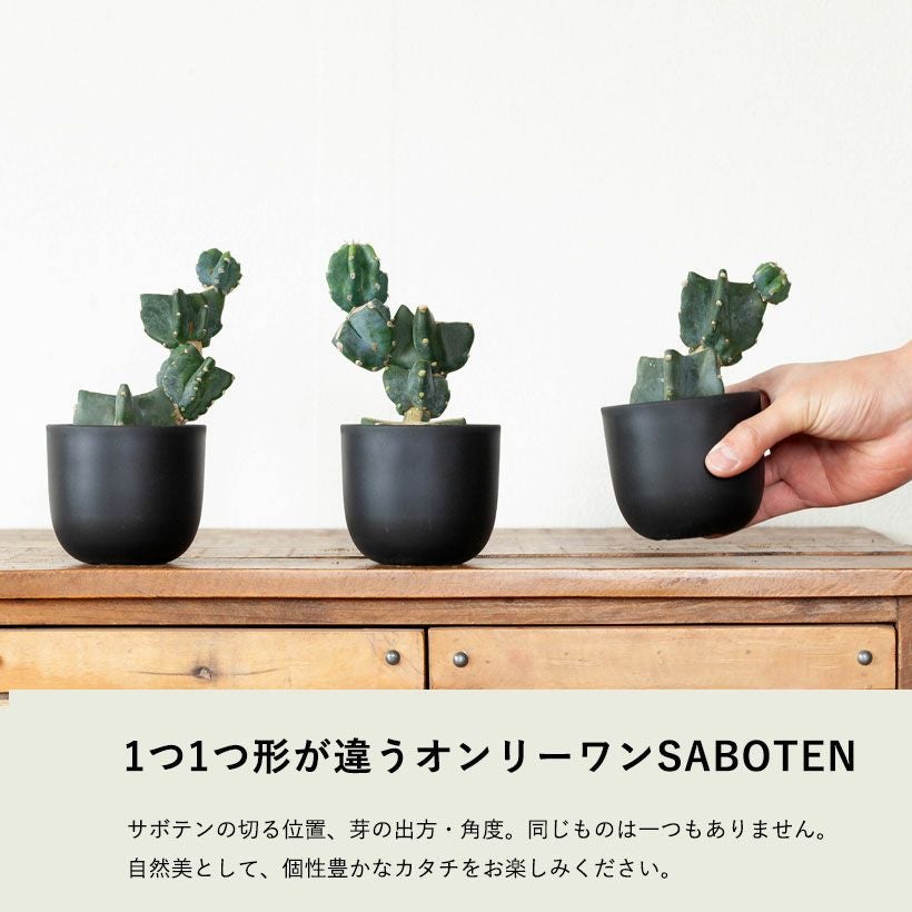 000000009100-04.jpg?size=l&w=