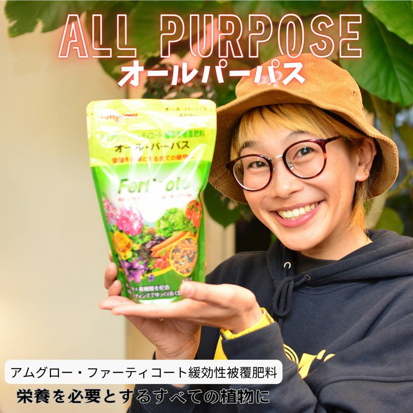 オールパーパス（化成肥料）リン酸が少なく観葉植物に効果的肥料