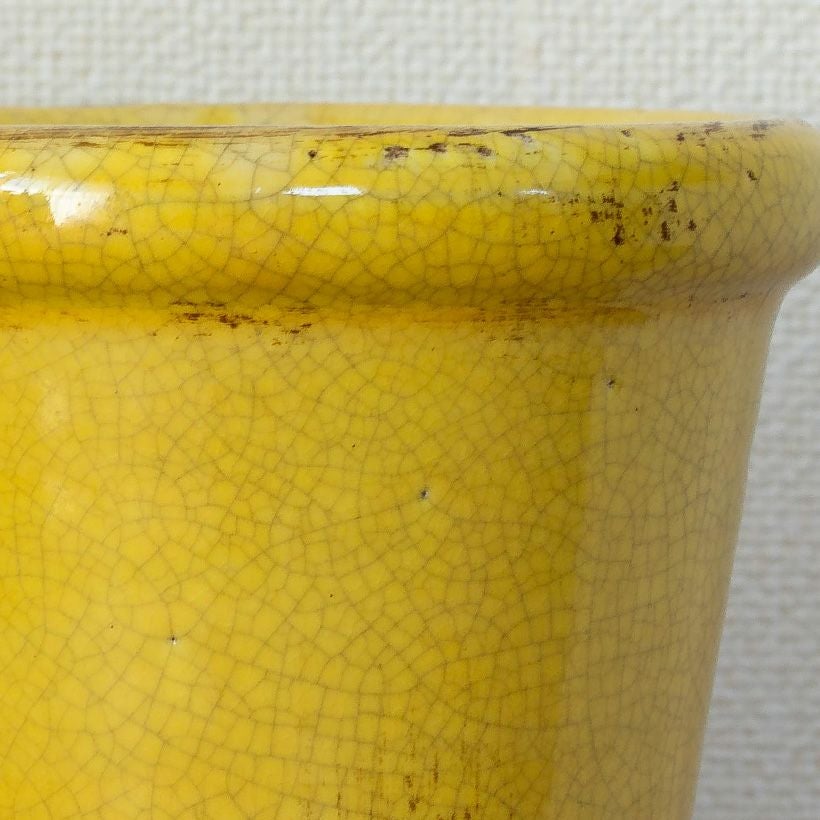 観葉植物の植え替えはこの鉢が人気！「4色」から選べる陶器鉢e-花屋さん