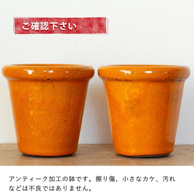 鉢デザイン確認用 観葉植物の植え替えはこの鉢が人気！「4色」から選べる陶器鉢e-花屋さん