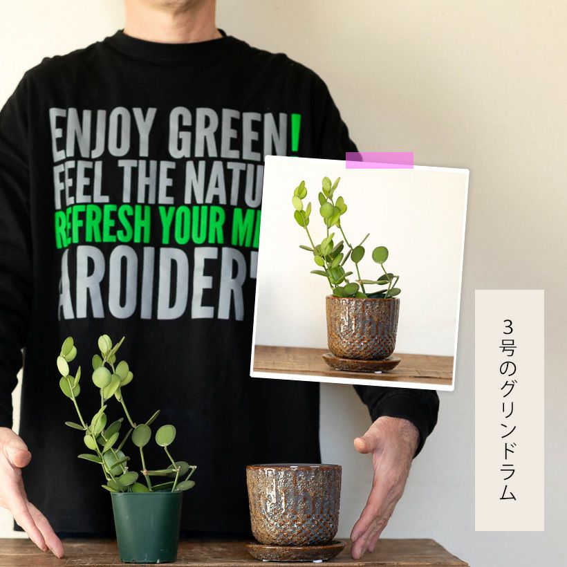 でこでこキュート。キュート＆リッチな植木鉢（10.5cm） | [公式]e
