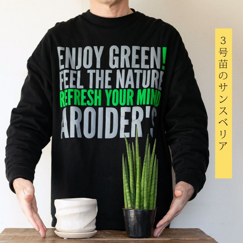 【w趣味人間w様 ご注文商品】IFW613B(1点)＋IF415B(2点) 作家風（手作り風）セラミック陶器鉢：アイボリー