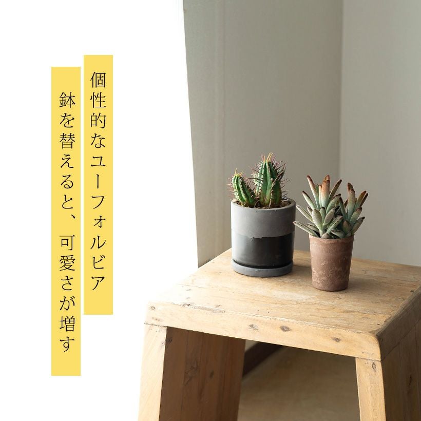 ツートンカラー（グレー×黒）シリンダ型陶器鉢