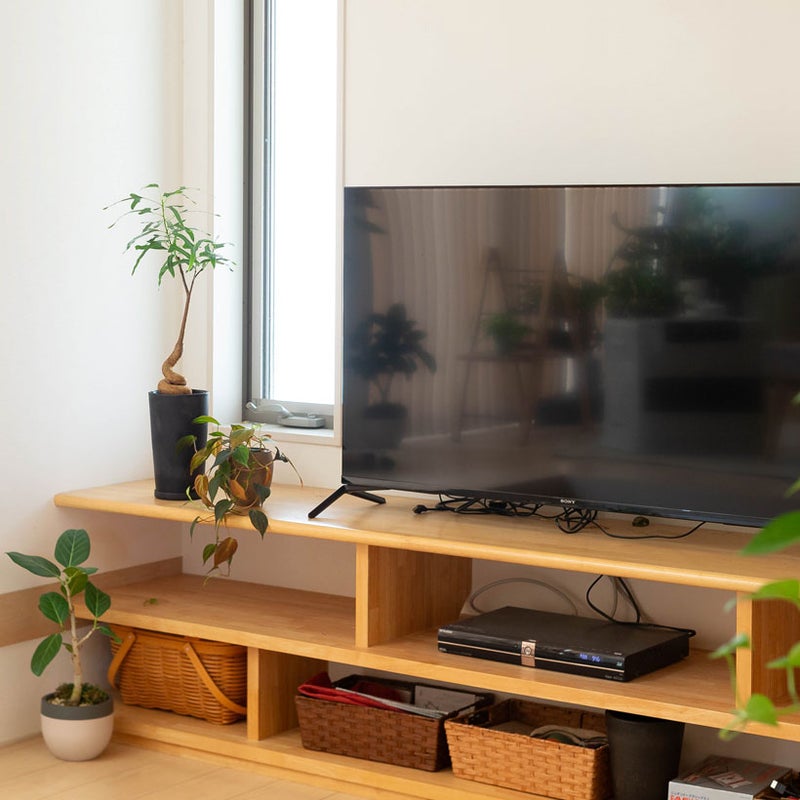 ブラキチトン・ポプルネウス植替え例