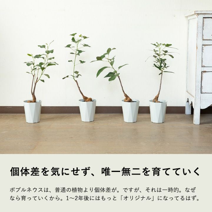 000000009300-06.jpg?size=l&w=