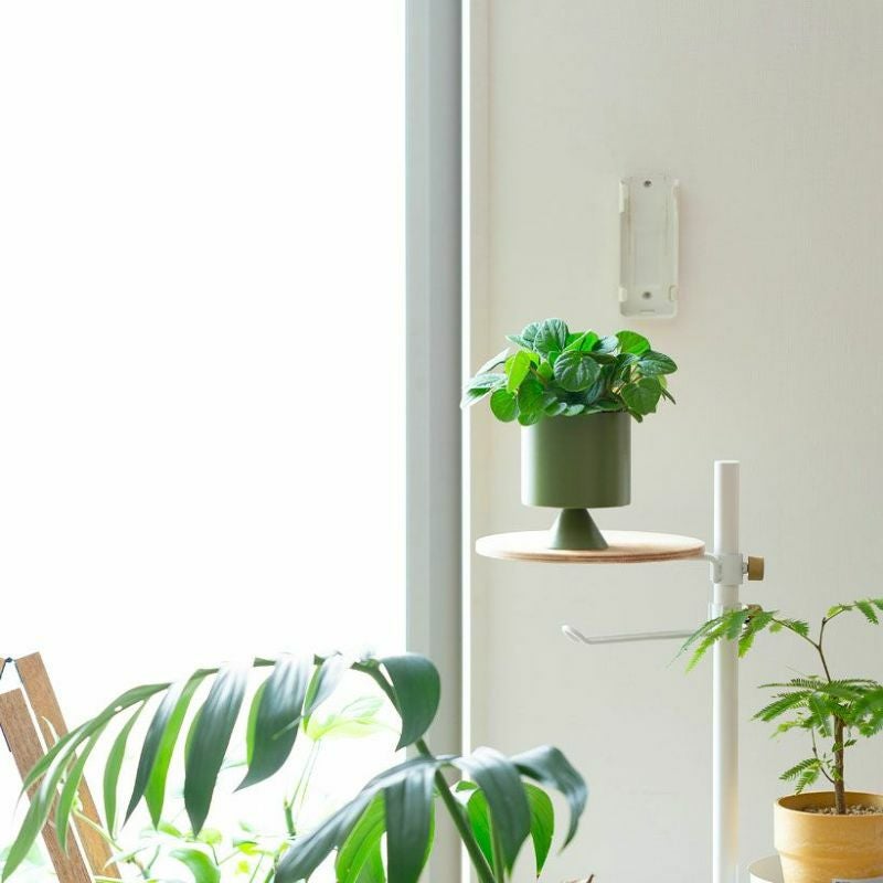 観葉植物の植え替えはこの鉢が人気！「4色」から選べる陶器鉢e-花屋さん