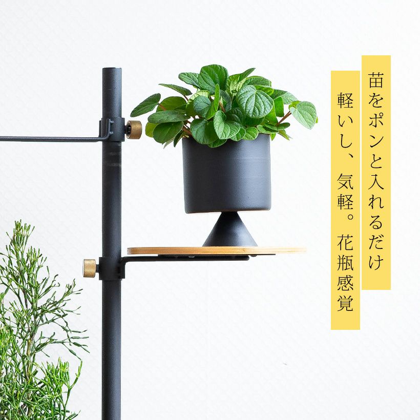 観葉植物の植え替えはこの鉢が人気！「4色」から選べる陶器鉢e-花屋さん