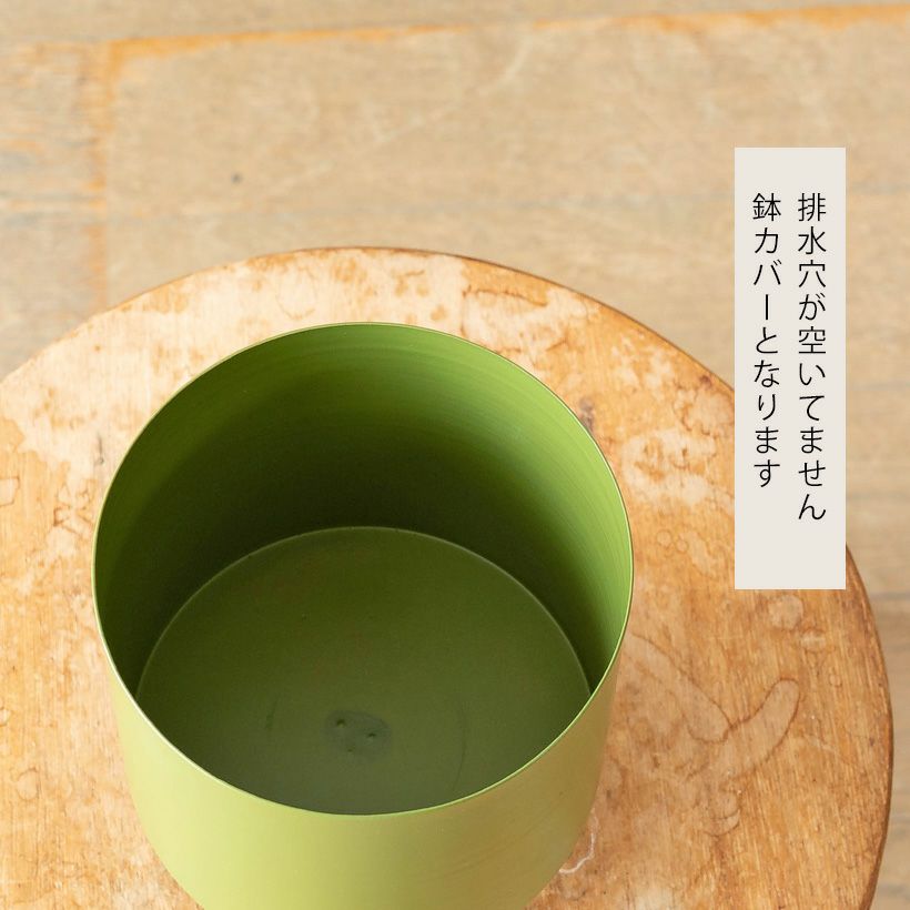 観葉植物の植え替えはこの鉢が人気！「4色」から選べる陶器鉢e-花屋さん