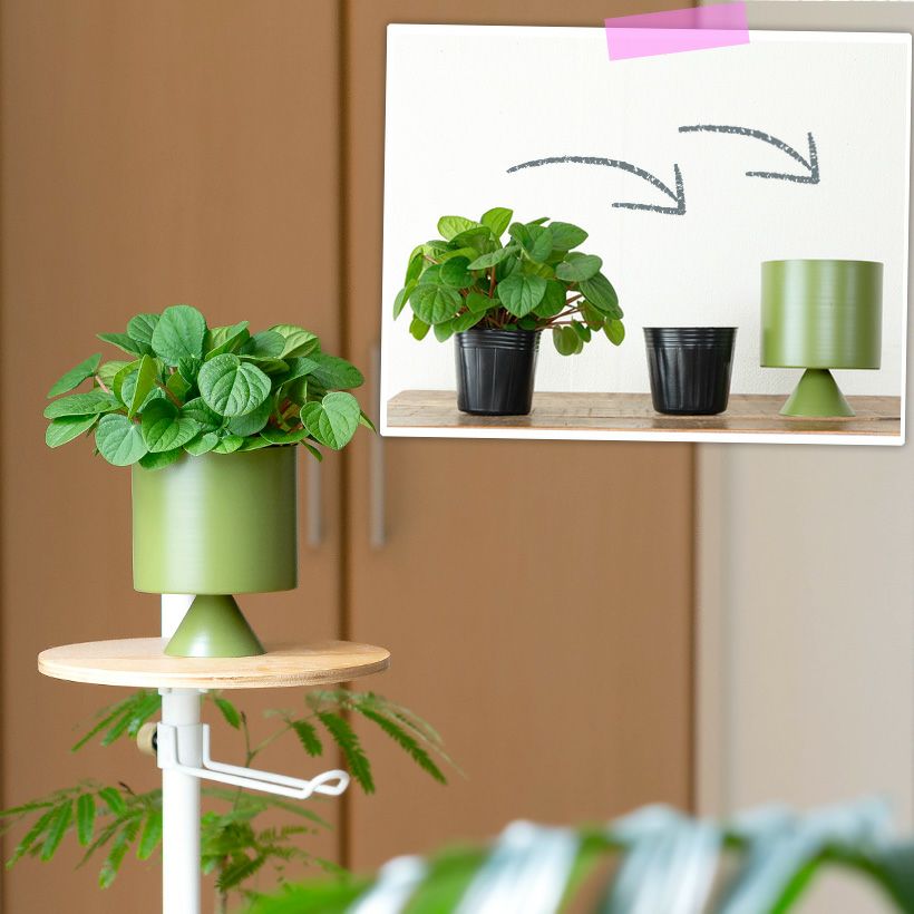 000000009330-07.jpg?size=l&w=