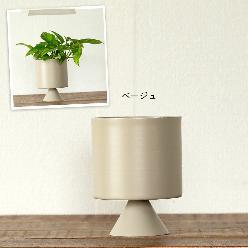 観葉植物の植え替えはこの鉢が人気！「4色」から選べる陶器鉢e-花屋さん