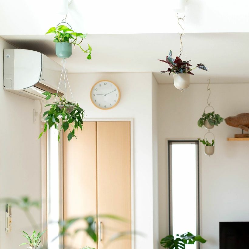 観葉植物の植え替えはこの鉢が人気！「4色」から選べる陶器鉢e-花屋さん