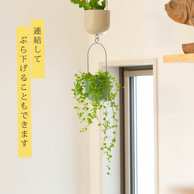 観葉植物の植え替えはこの鉢が人気！「4色」から選べる陶器鉢e-花屋さん