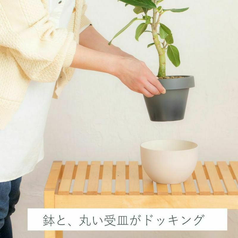季節の観葉植物を北欧鉢に植えてお届け｜丸いツートンカラー鉢