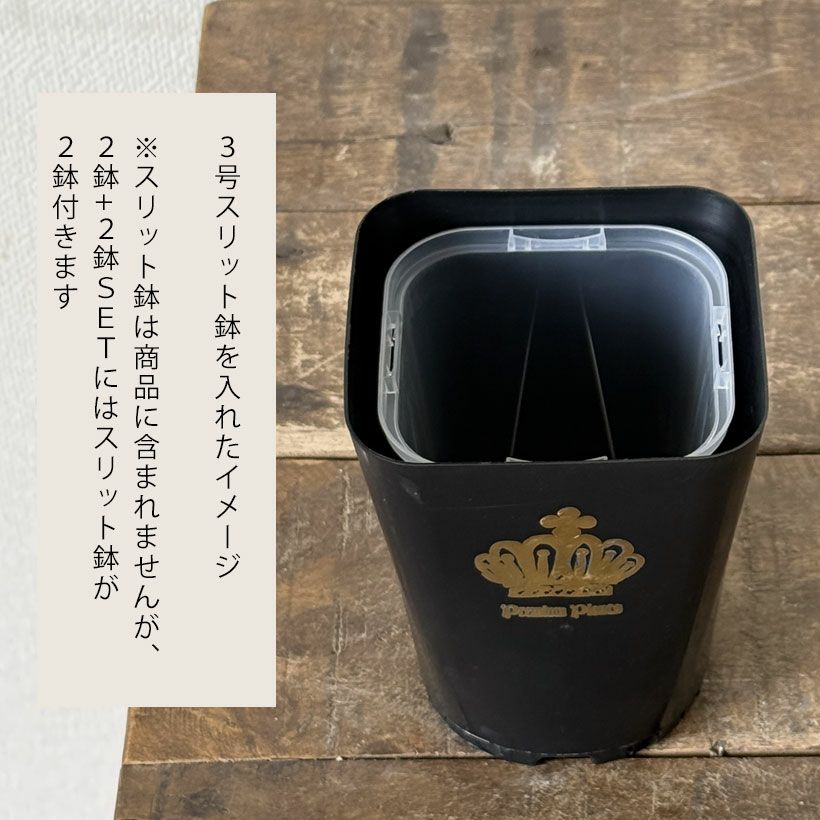 ネオプット（ネガミエルスリット鉢カバー）浅岡園芸・花森家開発