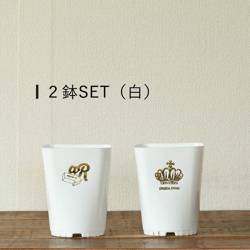 ネオプット（ネガミエルスリット鉢カバー）浅岡園芸・花森家開発