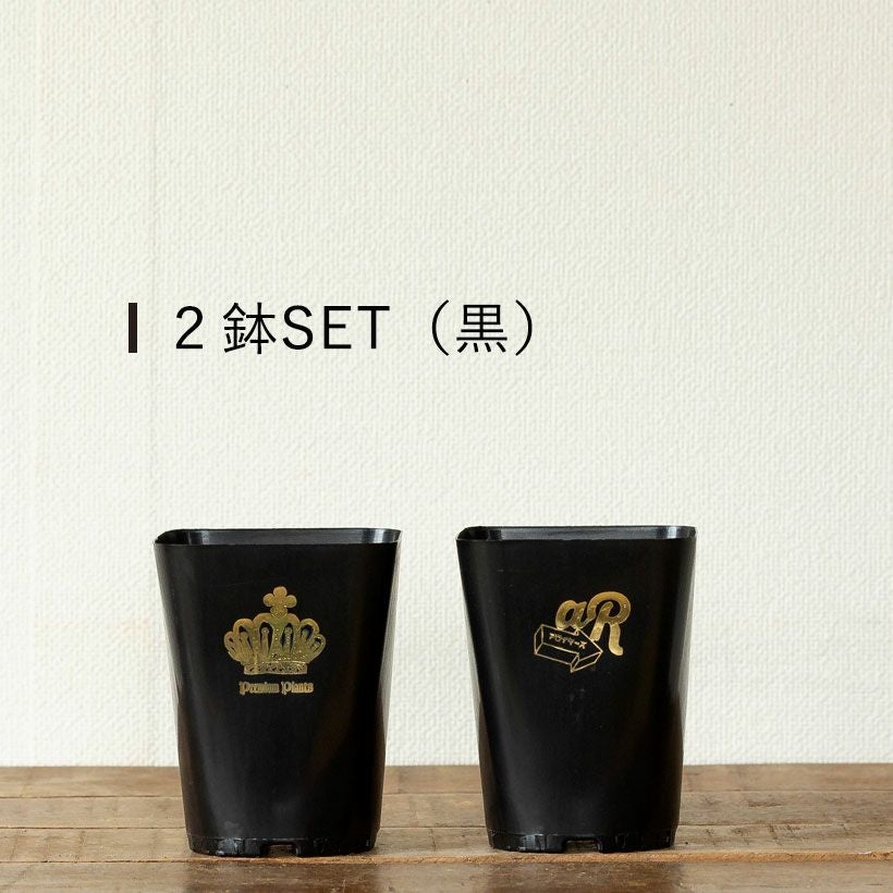 ネオプット（ネガミエルスリット鉢カバー）浅岡園芸・花森家開発