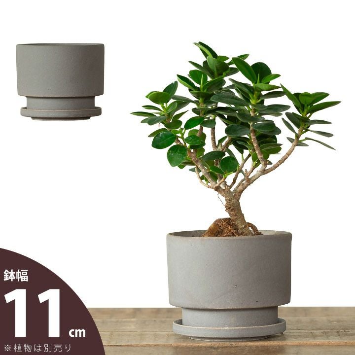 欲しい植木鉢が見つかる！室内外おしゃれプランター専門店