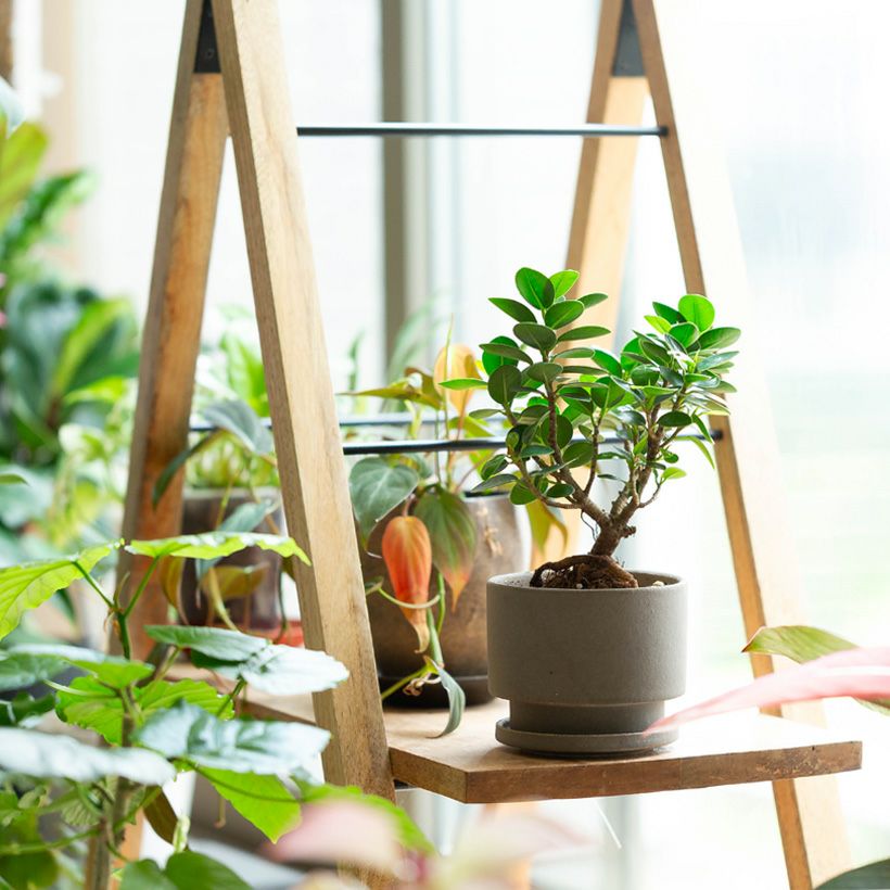 欲しい植木鉢が見つかる！室内外おしゃれプランター専門店