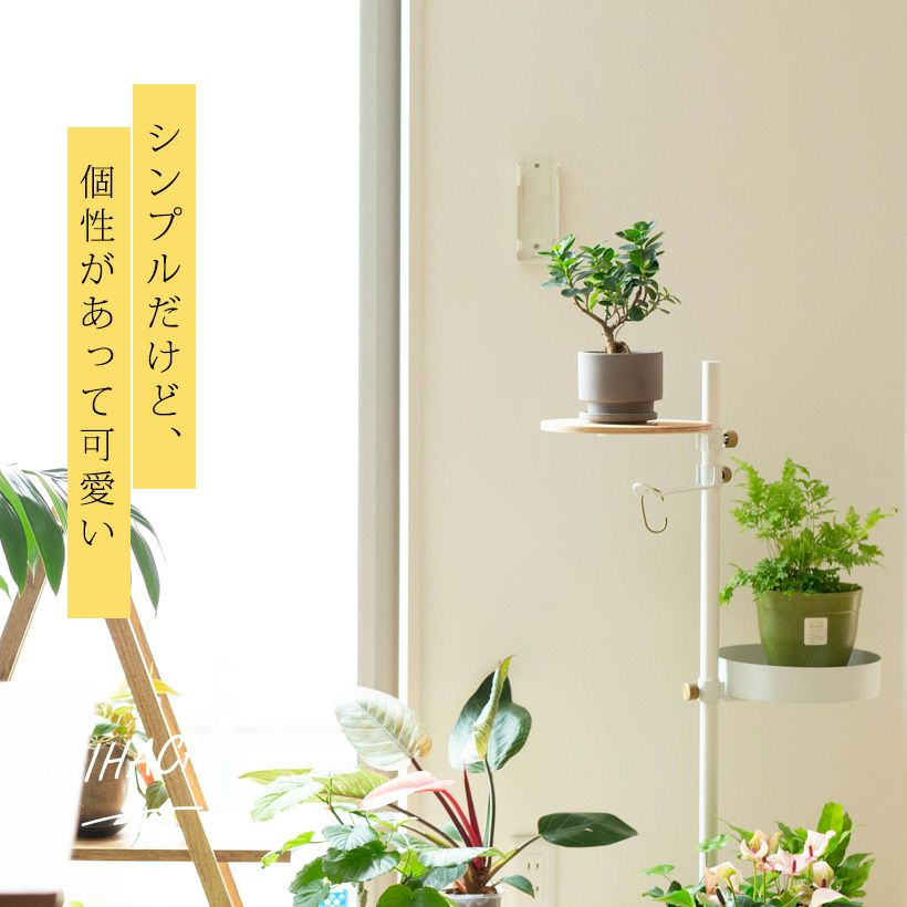 KATACHI 植木鉢 新色 UN211-235 – 鉢人