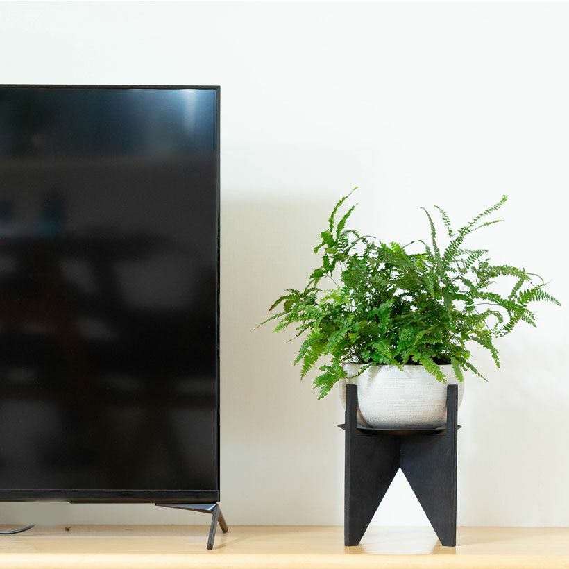 観葉植物の台（折り畳み式、背が低め木製スタンド）茶と黒色