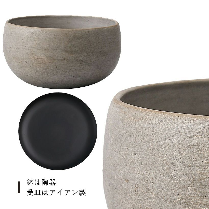 高級感ある浅鉢｜ミニ観葉の寄せ植えに和モダン鉢